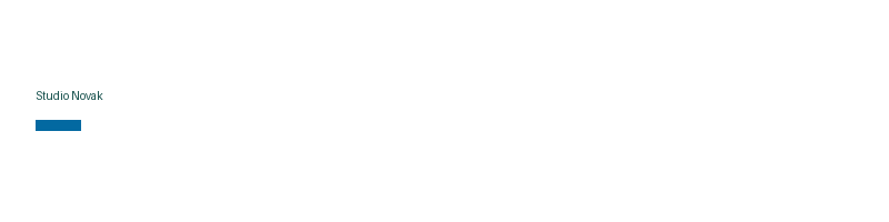 Studio Novak logo